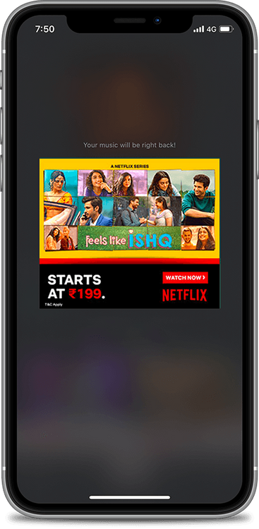 Netflix Audio Companion Ad